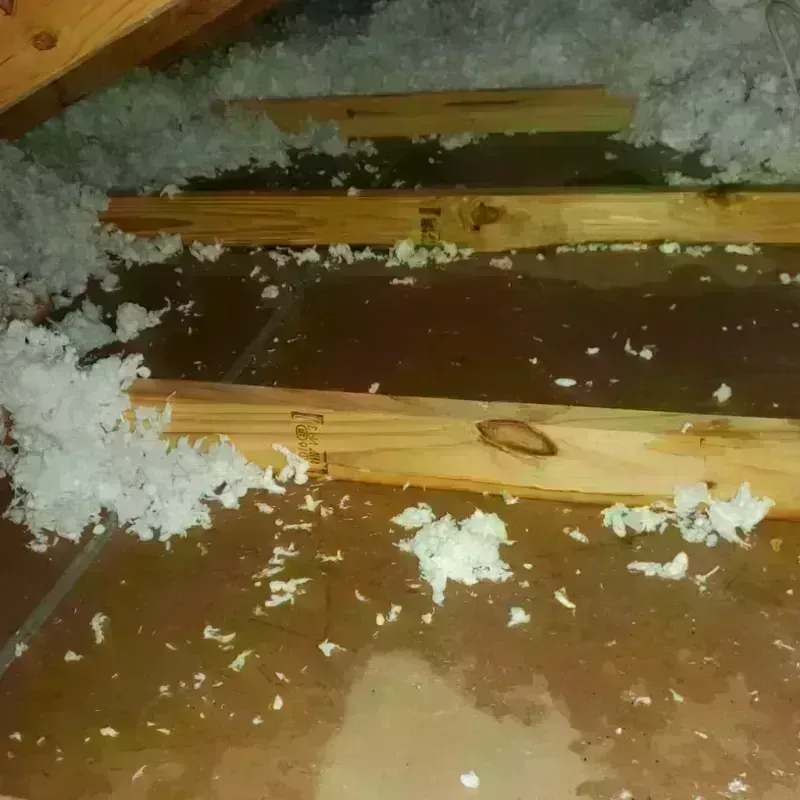 Attic Water Damage in Vermillion, SD