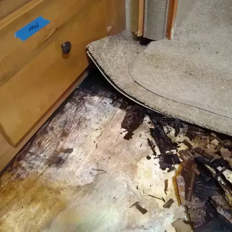 Wood Floor Water Damage in Vermillion, SD